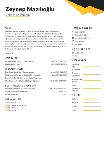 Felsefe Öğretmeni CV Örnekleri cv indir